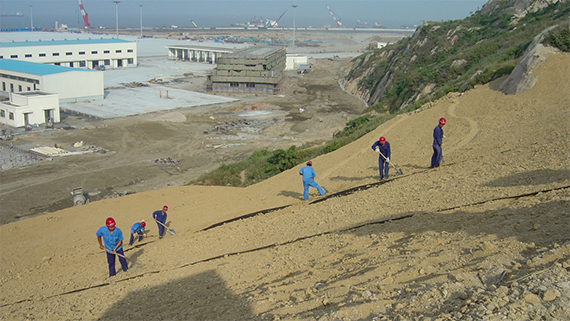 上海洋山国际深水港边坡-原始坡面.png